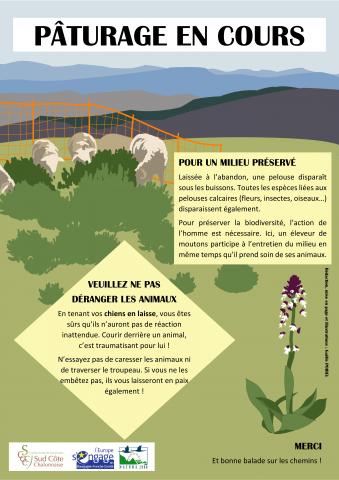 Affiche pastoralisme