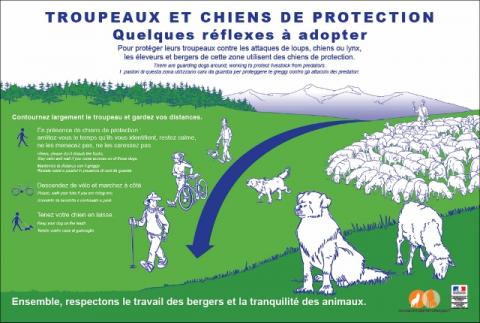 Affiche pastoralisme